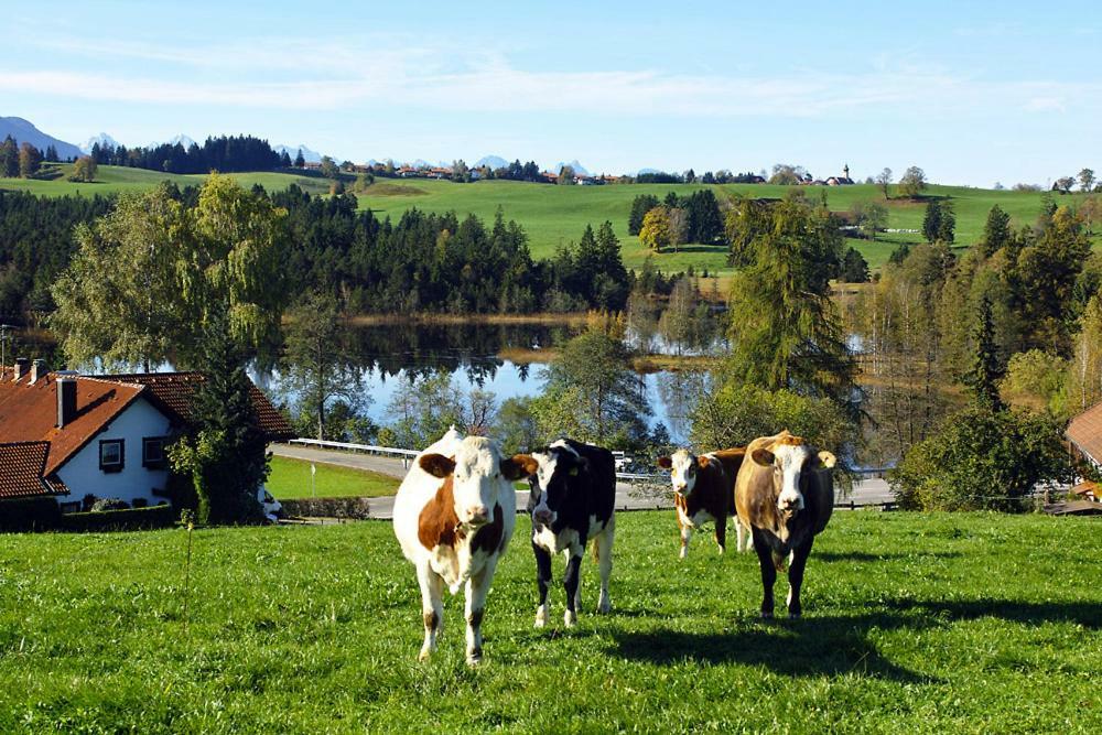 Gasthof "Zum Strauss" Wildsteig Bagian luar foto